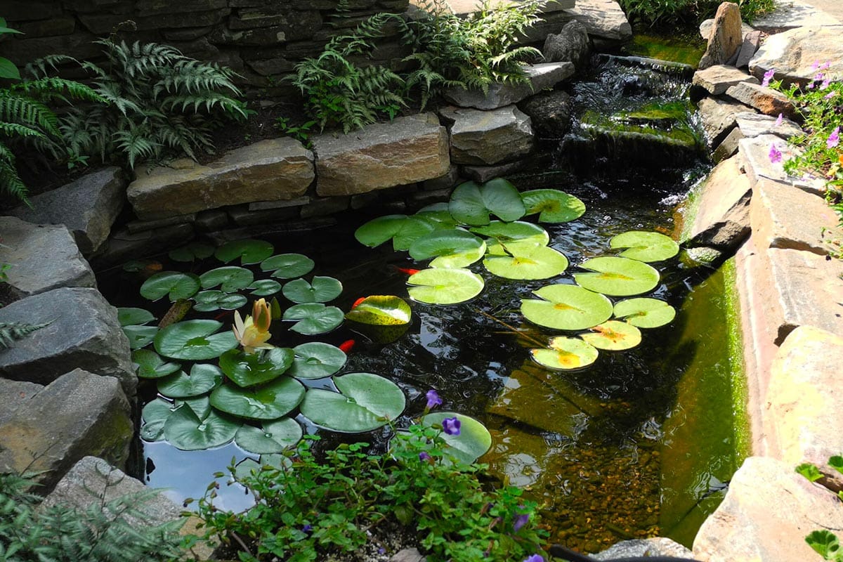 The Pre-Call Checklist: Questions to Ask a Pond Contractor (and the Ones You Should Be Asking)