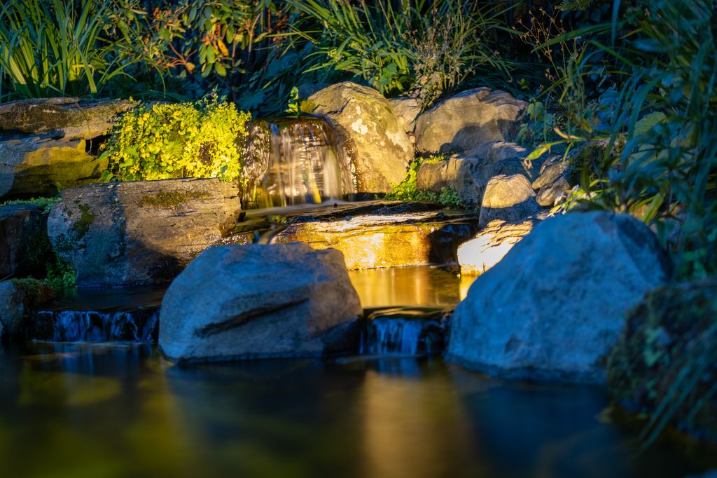 Tranquility, On Tap: The Mental Health Power of a Backyard Pond