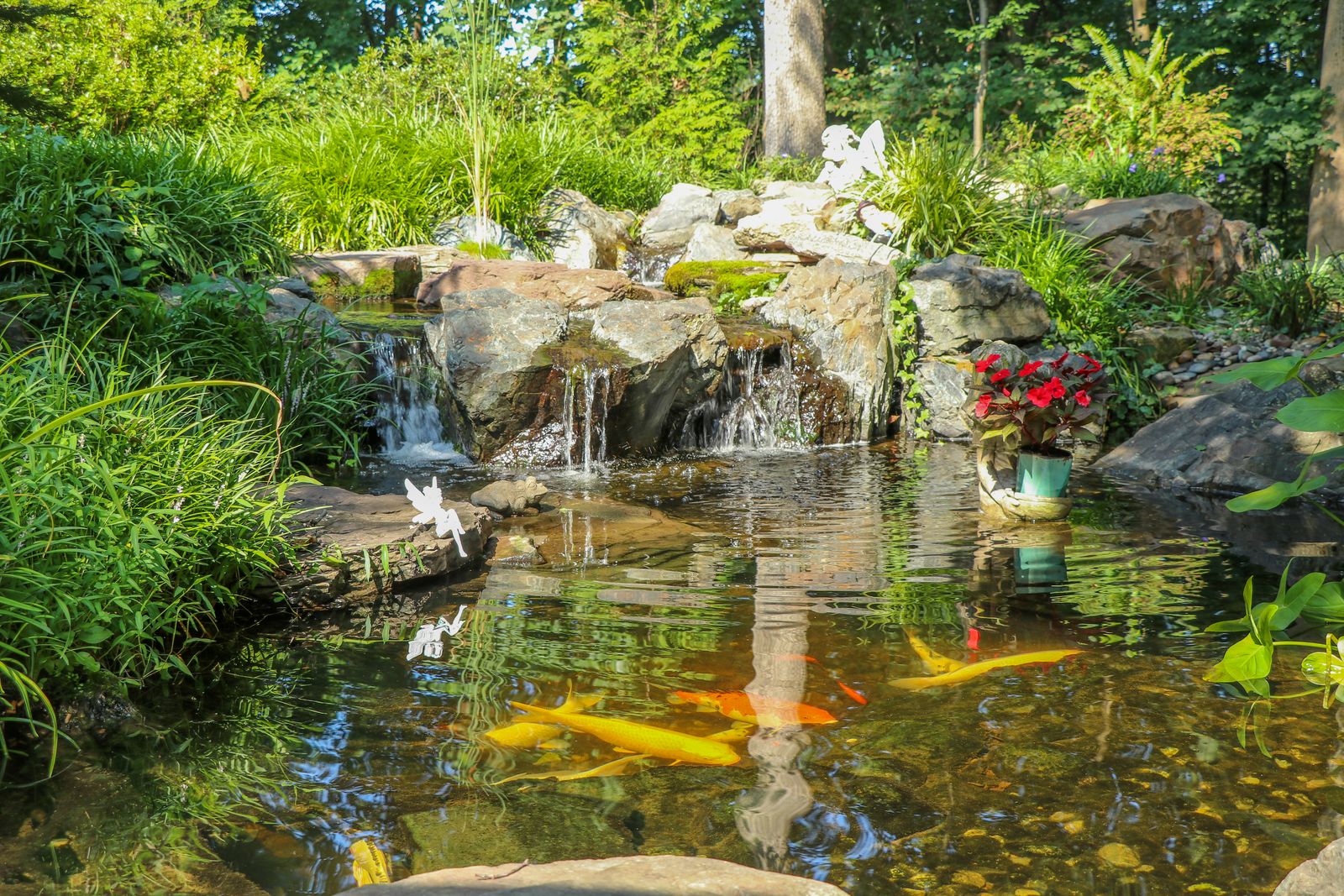 Why Experience Matters More Than You Think When Building a Pond