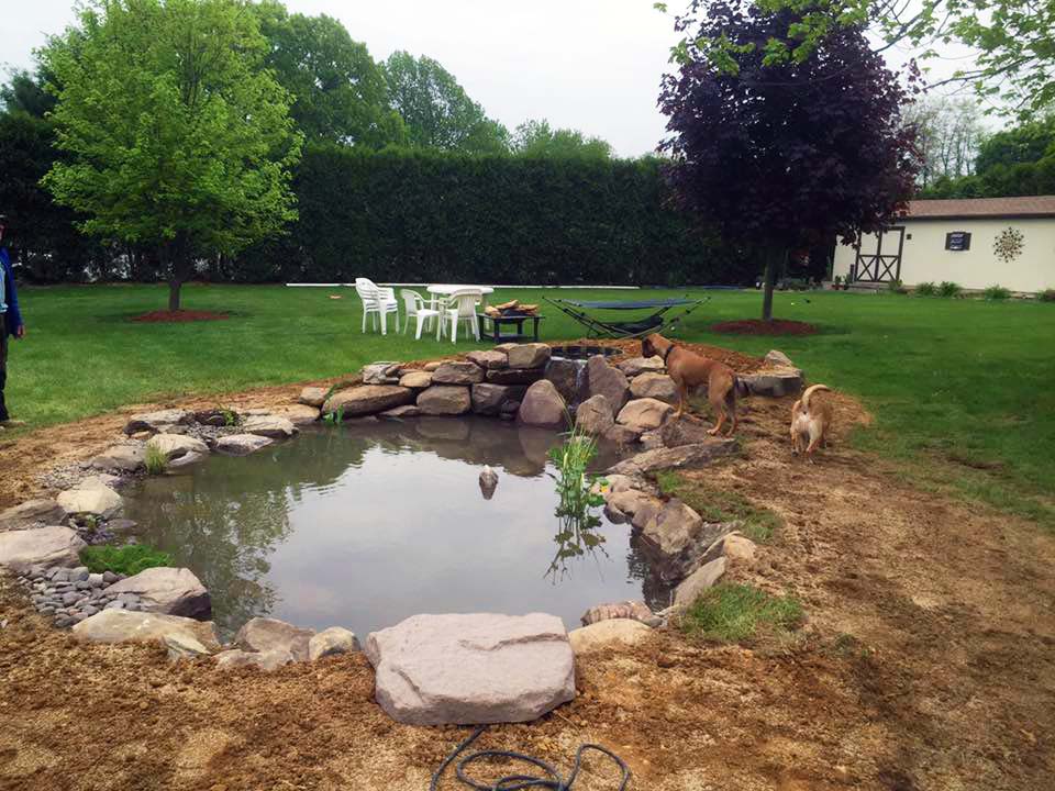 Beautiful Koi Fish Pond in Philly, PA