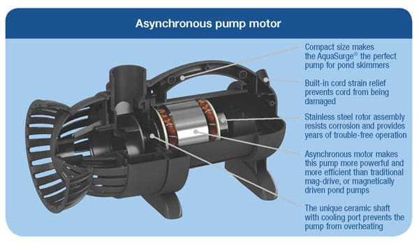 Pond Pump Repairs fish pond