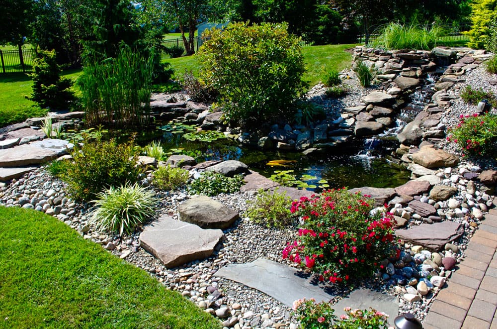 Philadelphia Pond Maintenance