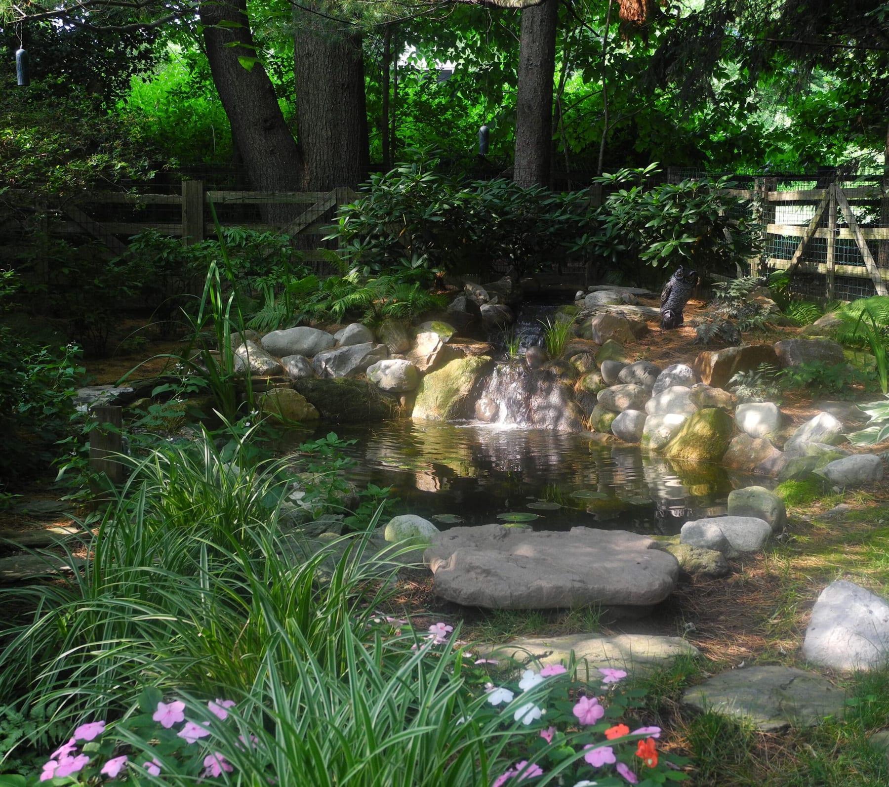 Low Maintenance Pond