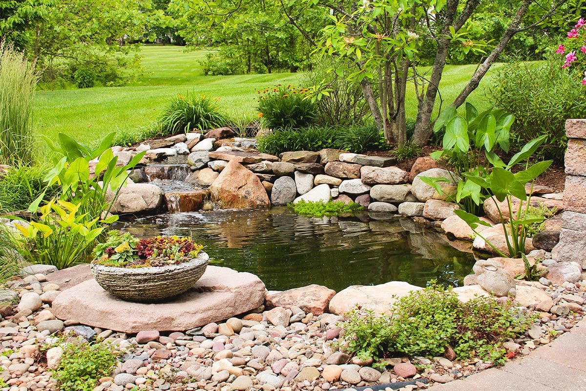 Light up the night with beautiful pond lighting