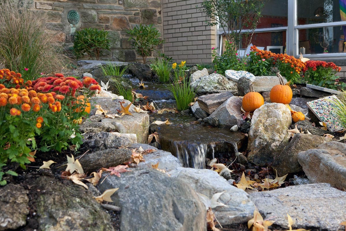 Fall Pond Shutdown: What It Involves and When to Schedule It
