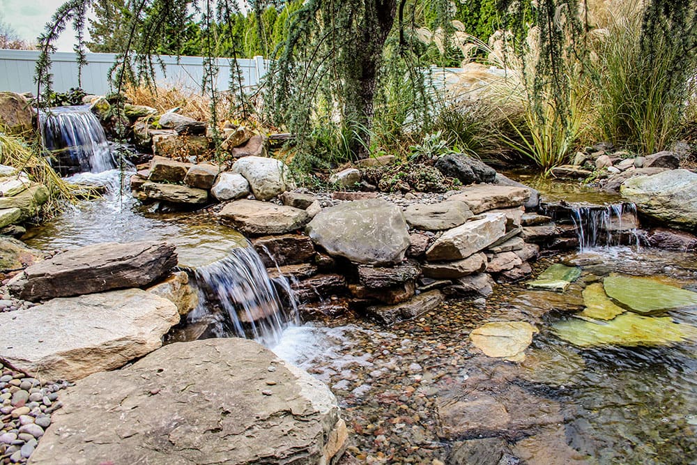 Montgomery County Pond Cleaning
