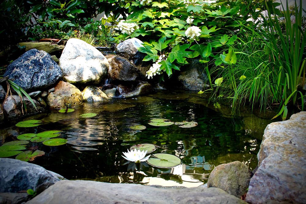 Montgomery County Pond Installation