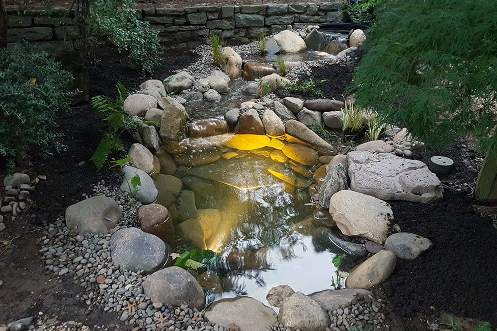 Ready for a Pond Upgrade?