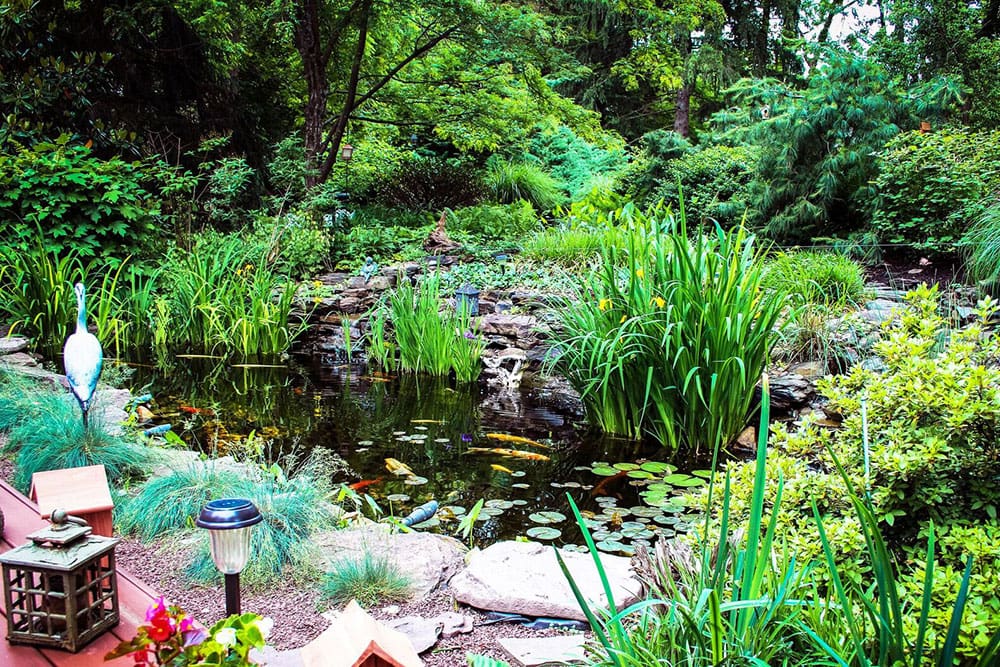 Montgomery County Pond Maintenance