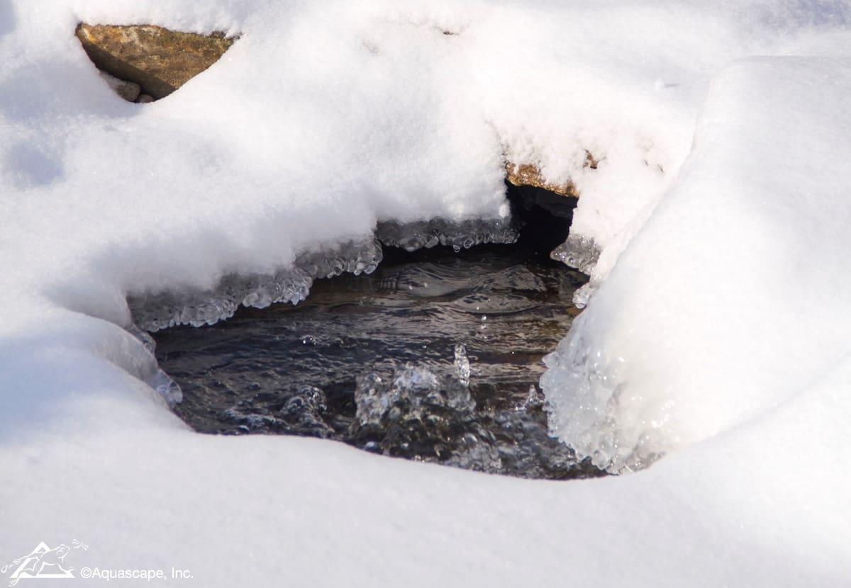 The Benefits of a Winter Pond Aerator: Keep Your Koi Safe Through PA Winters