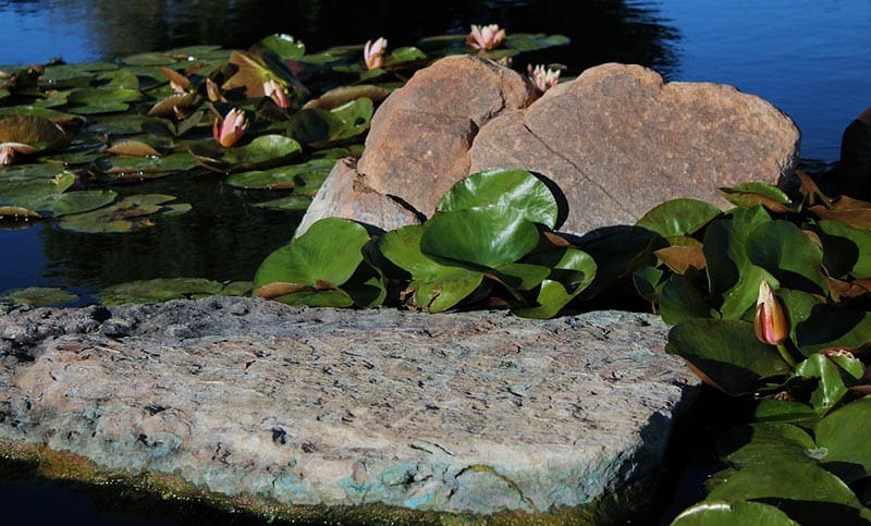 How Long Does a Pond Last? What Wears Out, What Doesn't, and Why