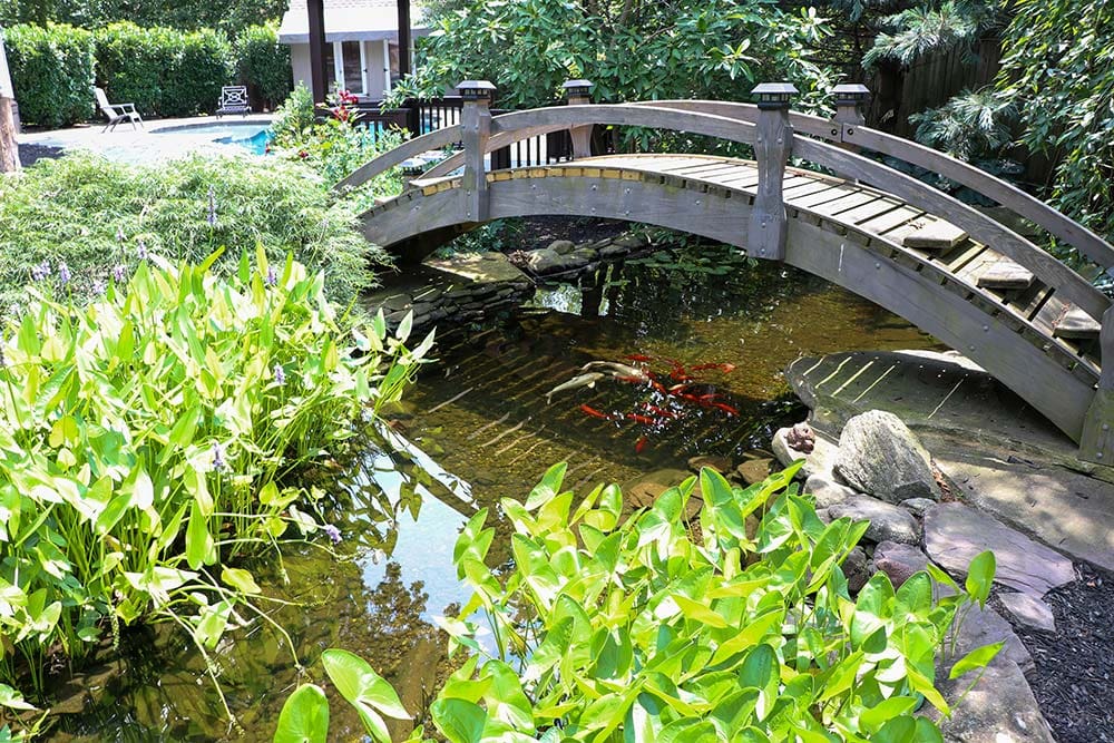 What Sets Pond Contractors Apart From DIY Pond Installation?