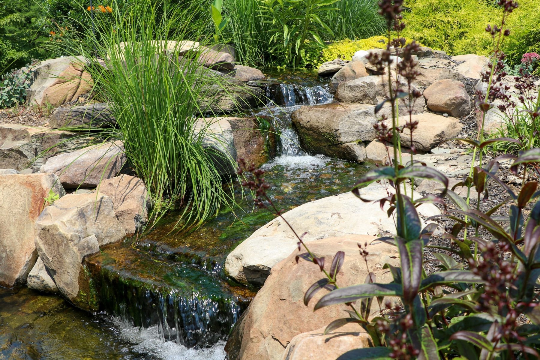Pond Upgrade Options!