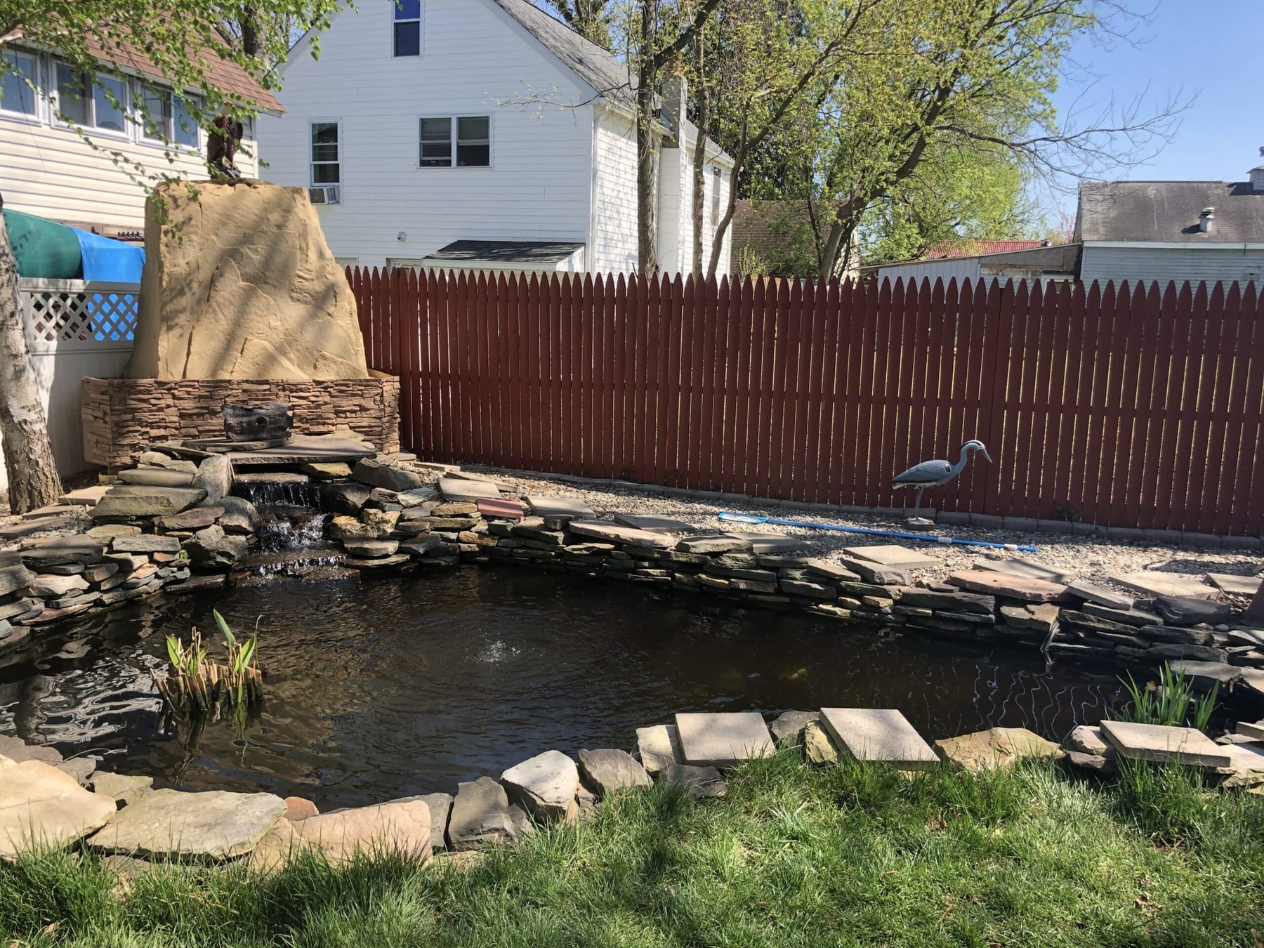 Dive into Your Dream Pond