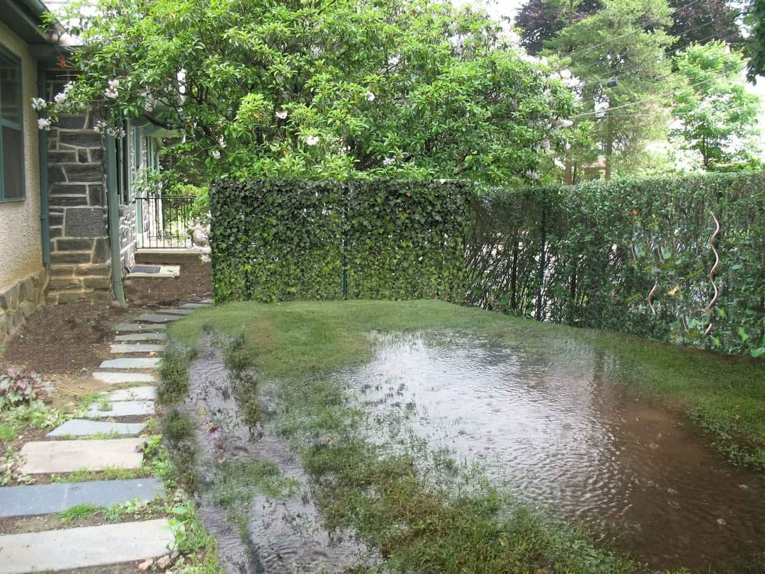 Goodbye Mud, Hello Function: How to Create a Water-Smart Backyard