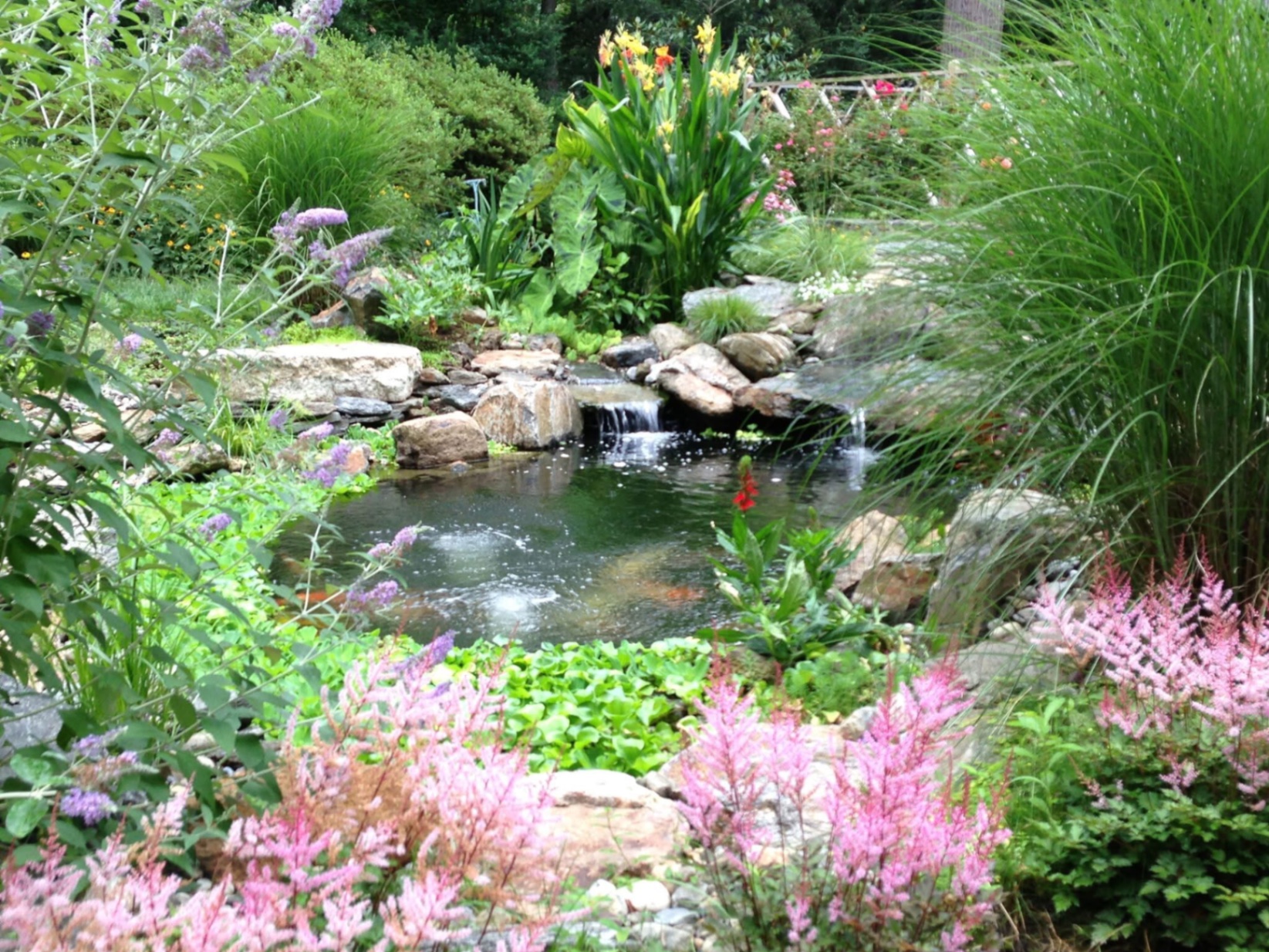 The Planning Phase: How We Help You Design a Pond That Fits Your Life