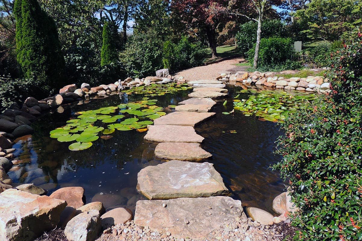 Pond Renovations: Transform What You Have Into What You Actually Want