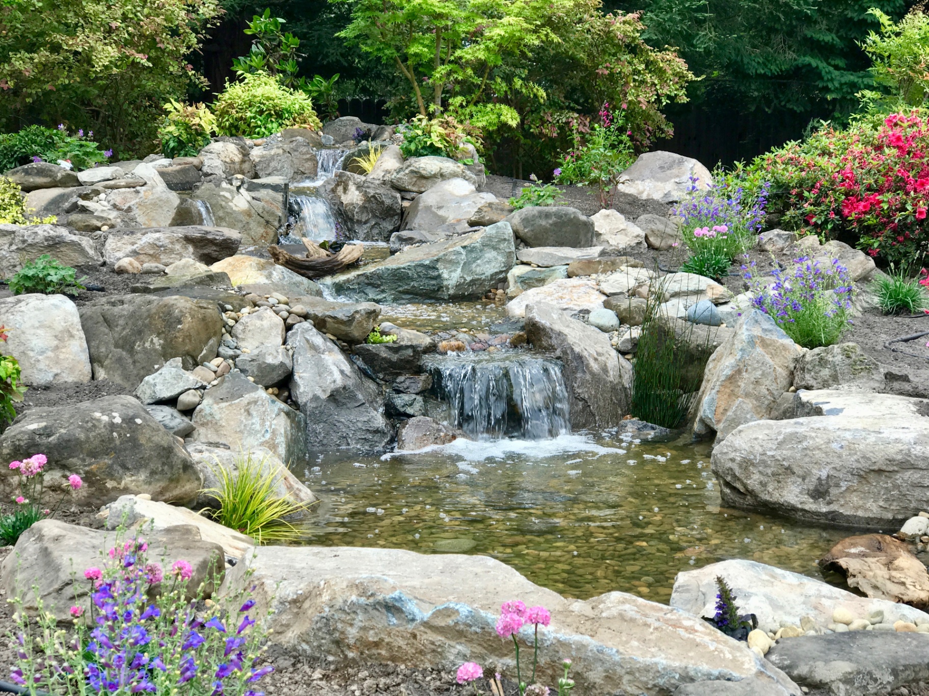 Pond vs. Disappearing Waterfall: Which Is Right for You?