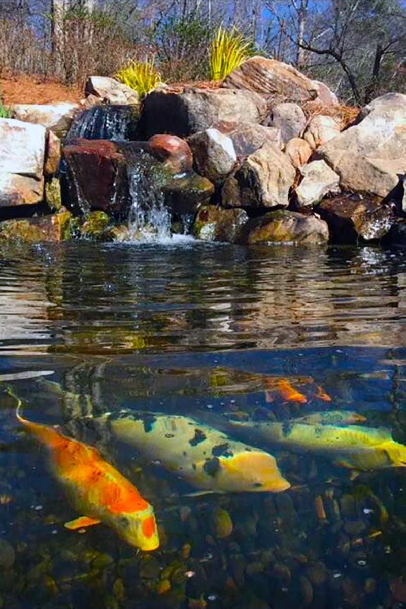 Spring Pond Opening Do's and Don'ts