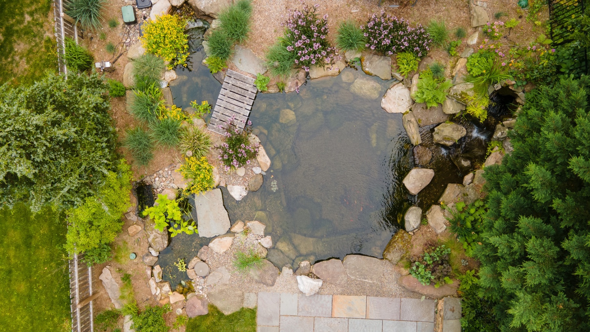 Stop Waiting for the Perfect Plan — Your Dream Pond Starts with a Conversation